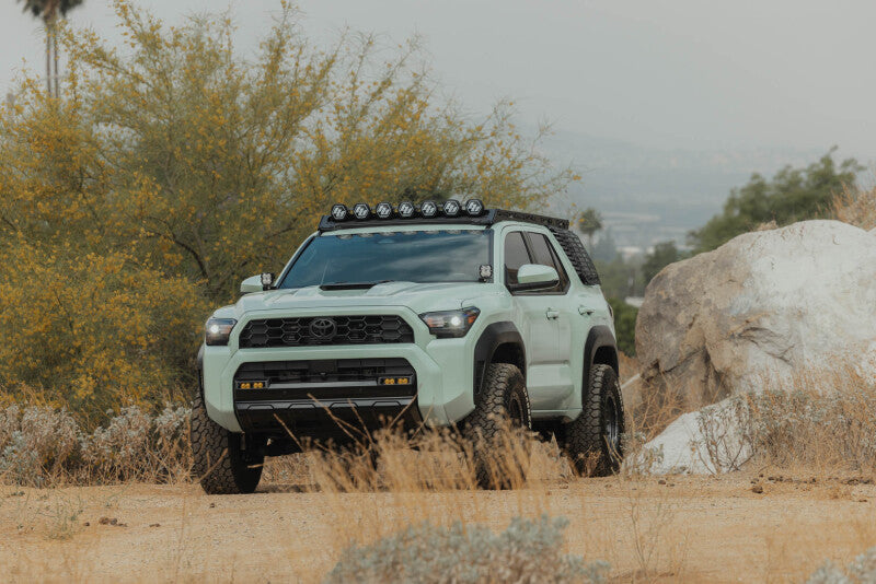 Photo - Close Up
